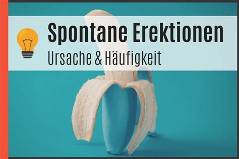 erektion bilder|Die Erektion